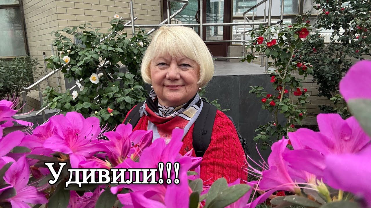 25 февраля 2026 г.