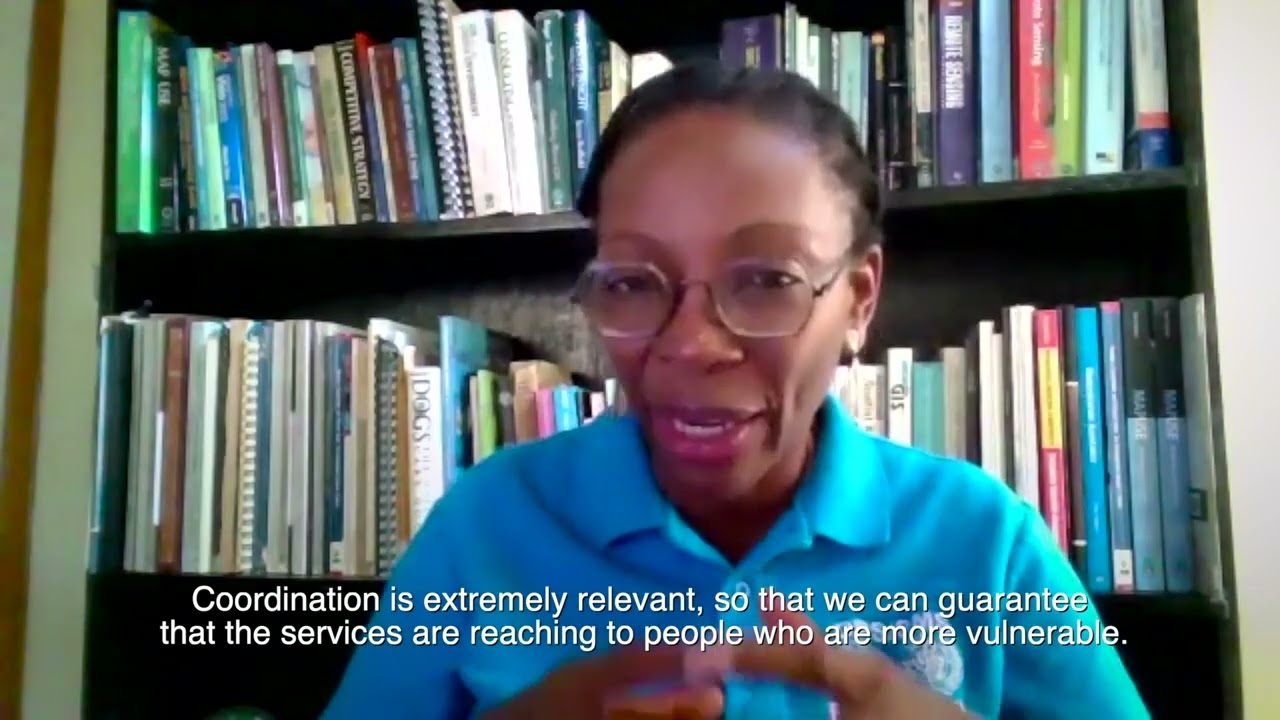 Coordination mechanisms for Mental Health and the implementation of mhGAP in the Caribbean