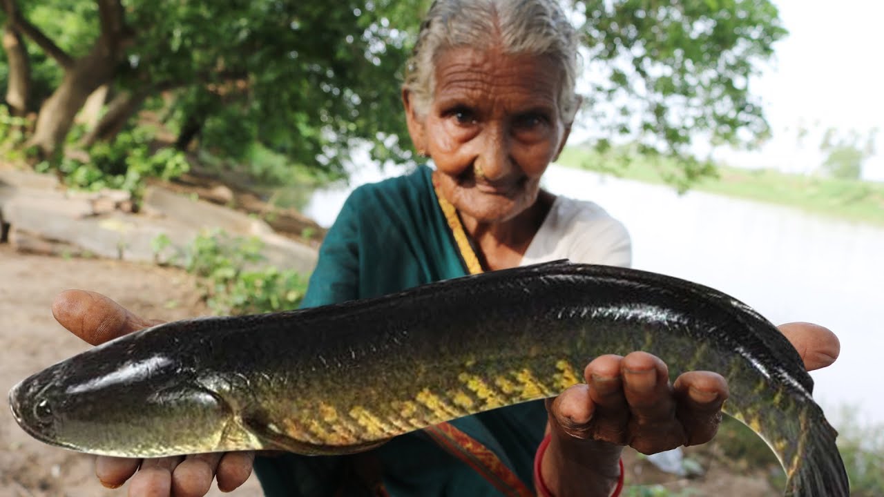 Koramenu Fish Recipe | Murrel Fish curry By Granny Mastanamma