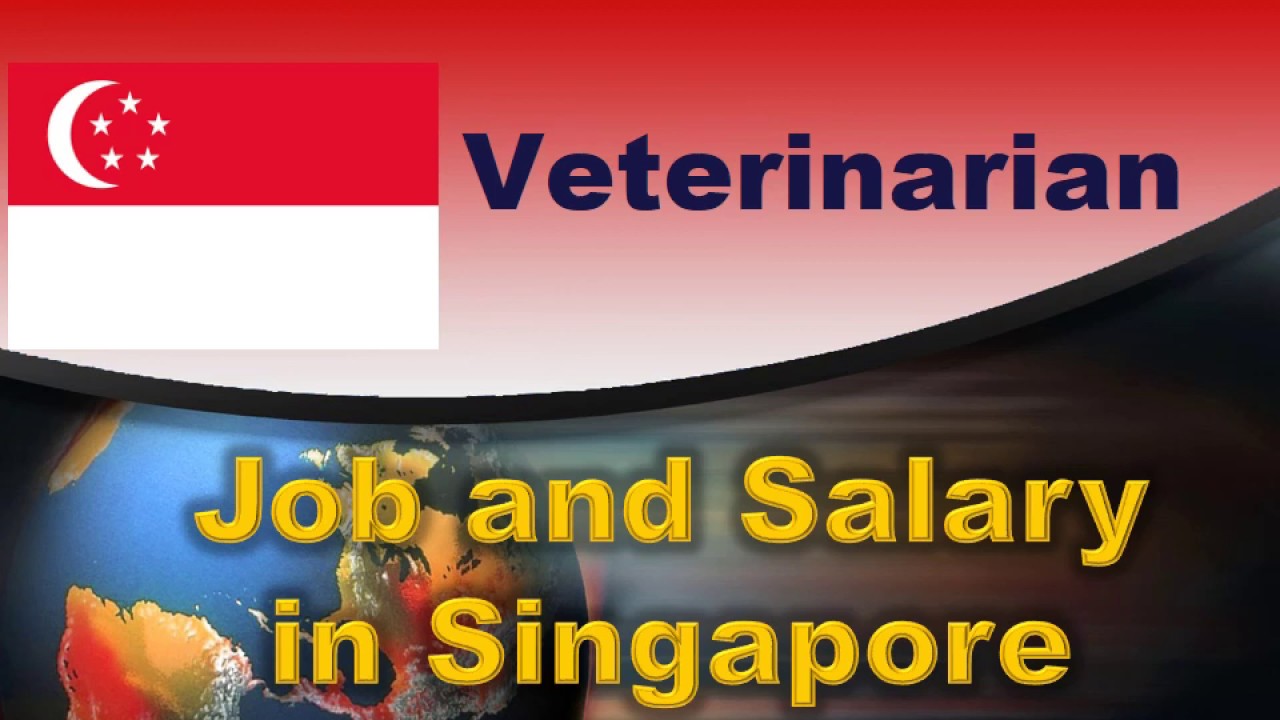 Veterinarian Job and Salary in Singapore - Jobs and Wages in Singapore