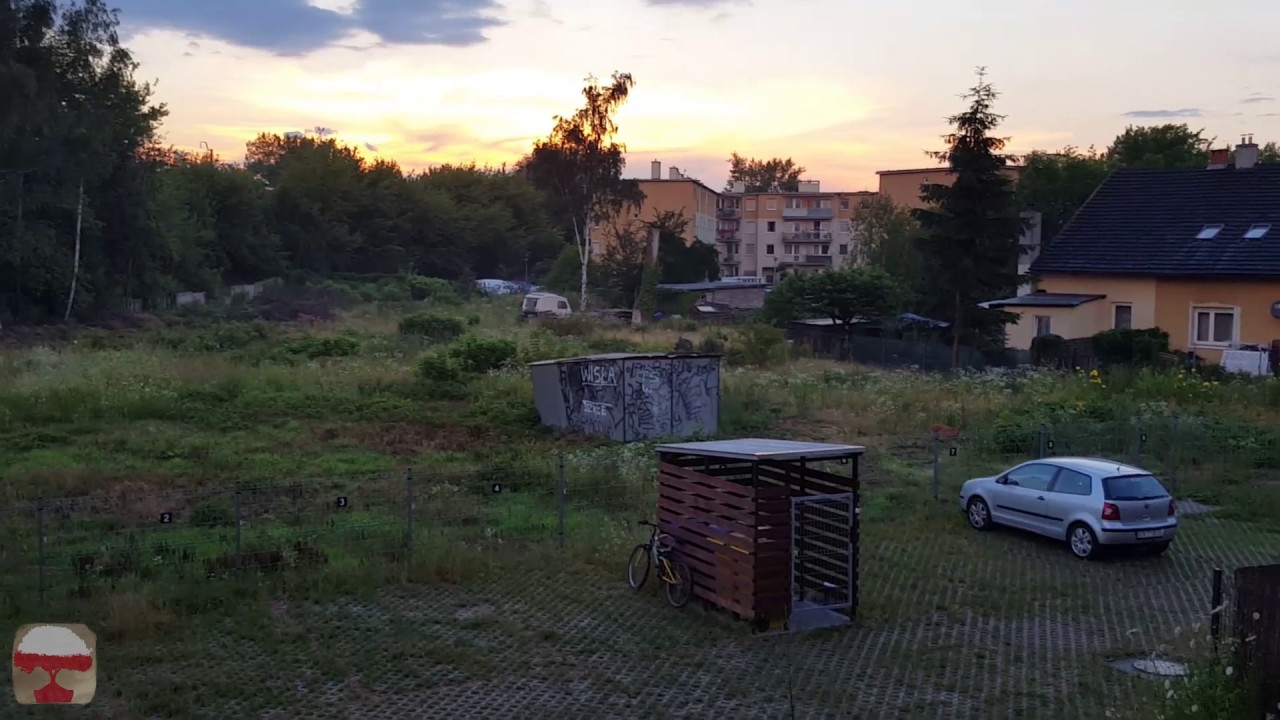 Польша , Дикие животные в Кракове \ Polska, zwierzęta w Krakowie