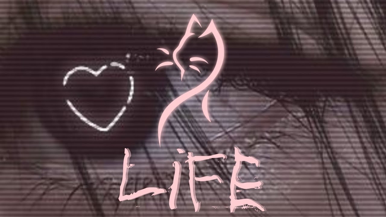 Kenny Kun - Life [Copyright Free] No.26