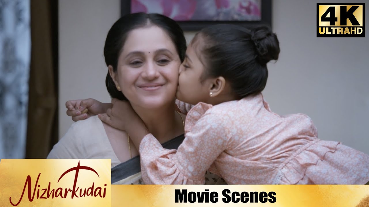 கொழந்தைக்கு எதாவது ஆயிருந்தால் ? Nizharkudai | Movie scene | Devayani, Vijjth