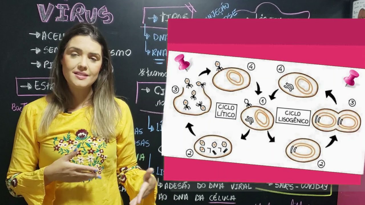 Microbiologia | Vírus 🐒😷