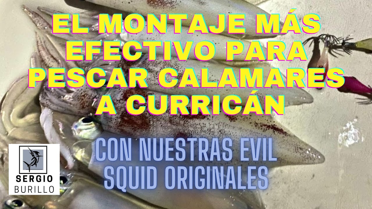 El montaje mas efectivo para pescar calamares a curricán.