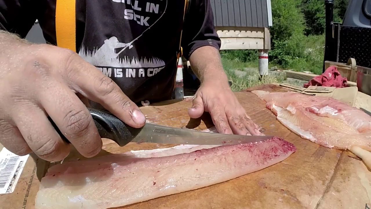 Northern pike deboning, plus SECRET PIN BONES REVEALED