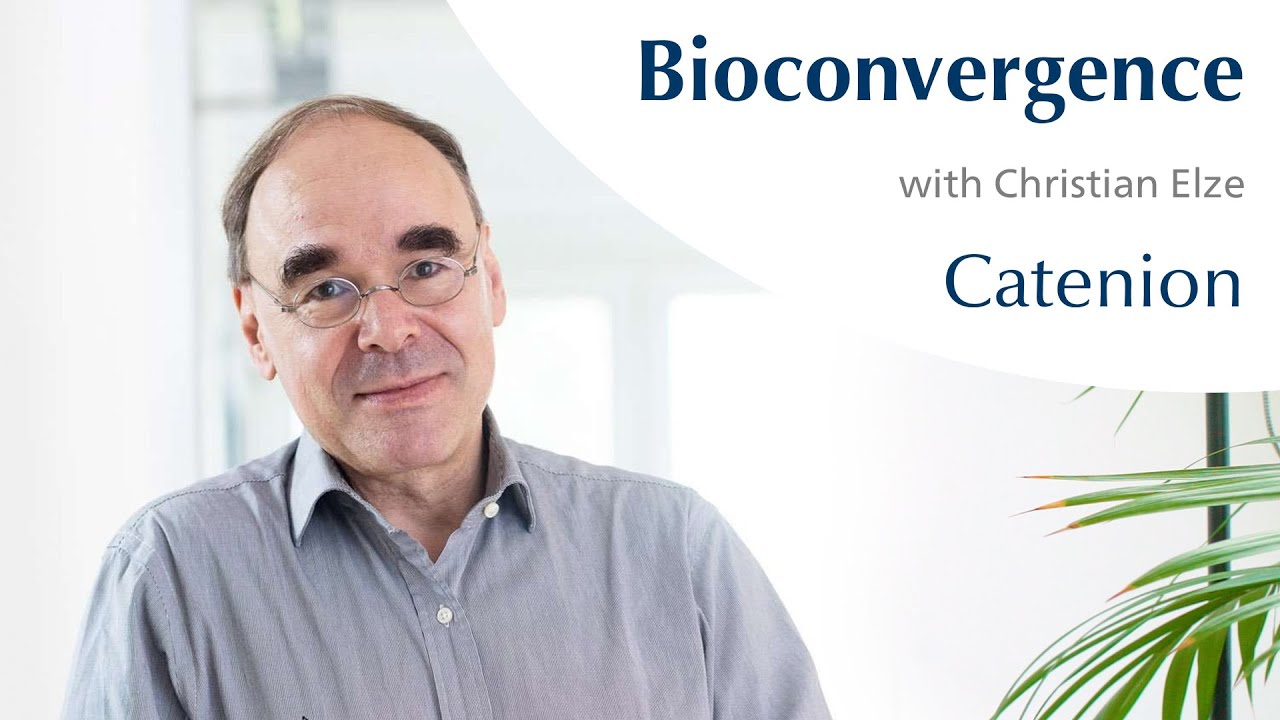 Bioconvergence | Catenion Insights