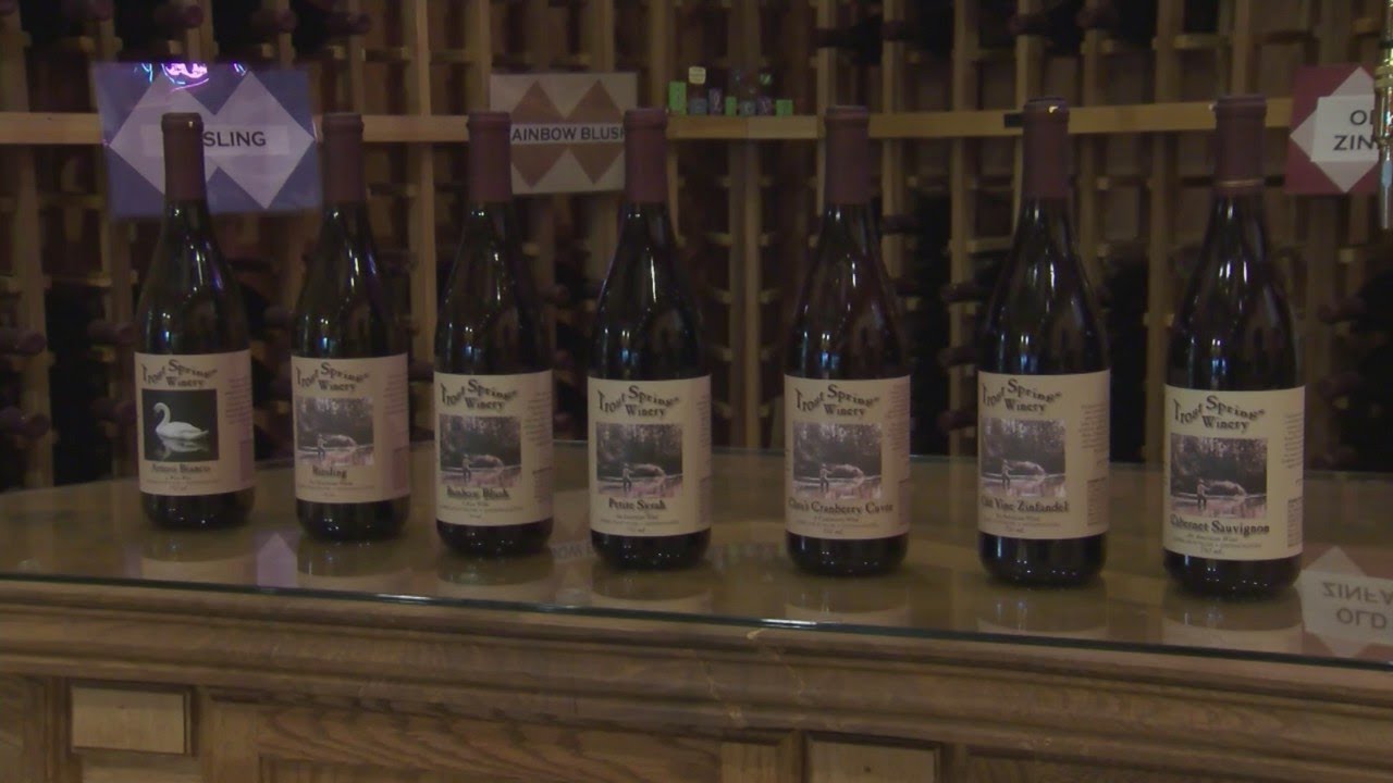Holiday Hot Spot: Trout Springs Winery