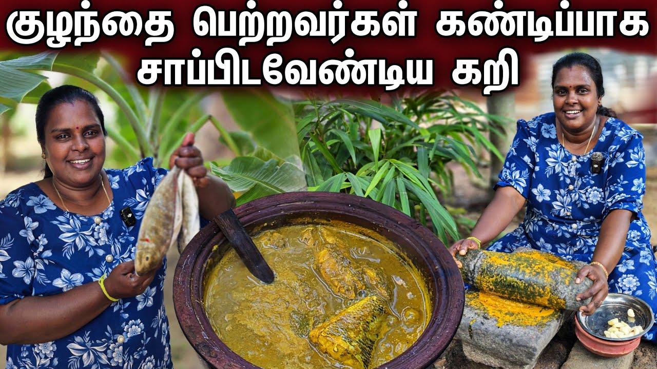 தங்கைக்கு சுஜி செய்த பாட்டி காலத்து பத்திய மீன் கறி | our village life ♥️ | vanni vlog 