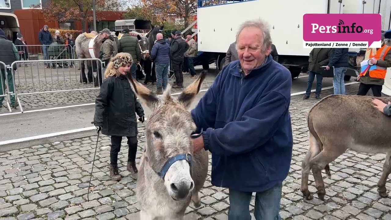 23 11 lennik 75e jaarmarkt