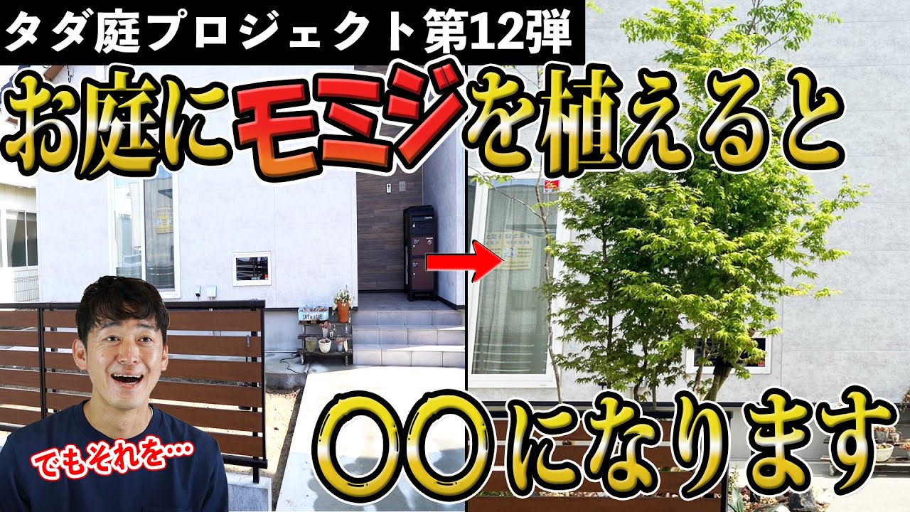 【それでもモミジ植えたい】モミジを使った洋風のカッコイイお庭づくり