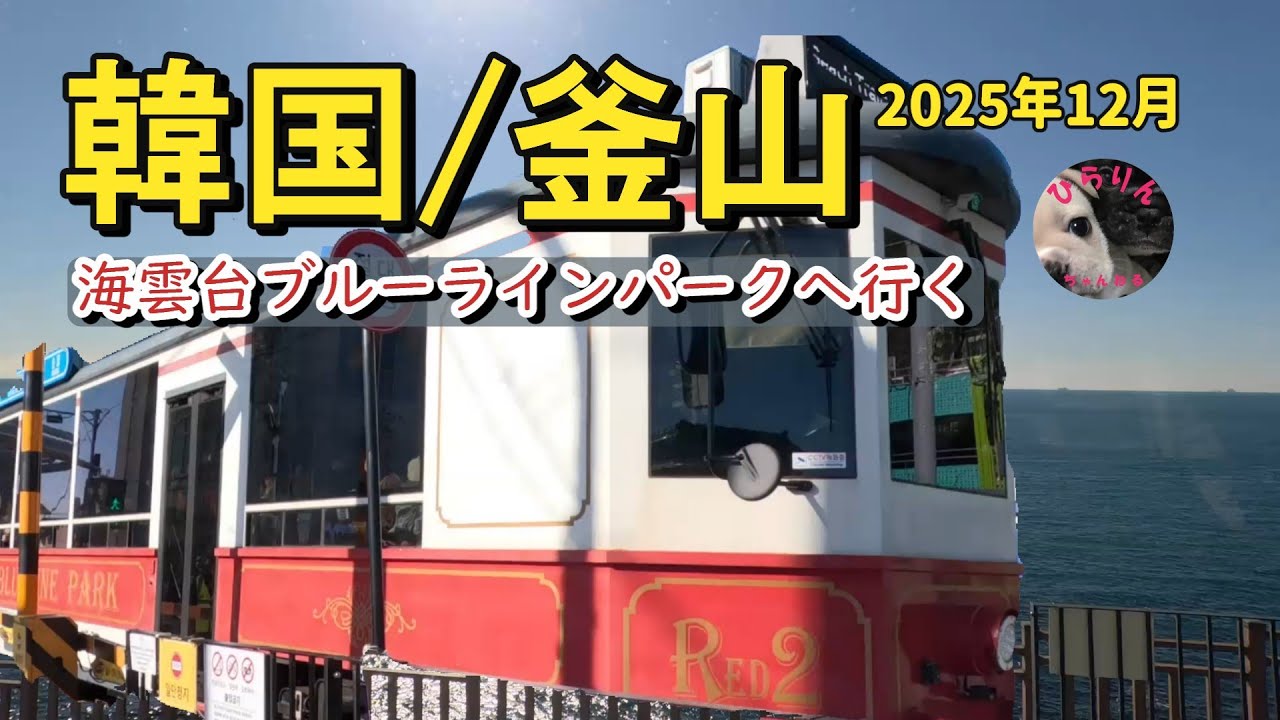 「海雲台ブルーラインパーク」海辺列車に乗る方必見！！韓国・釜山/海雲台ブルーラインパークを楽しむ方法～♪是非、参考にしてほしい！！「ひらりんちゃんねる」熊本情報・韓国旅行・フレンチブルドッグ