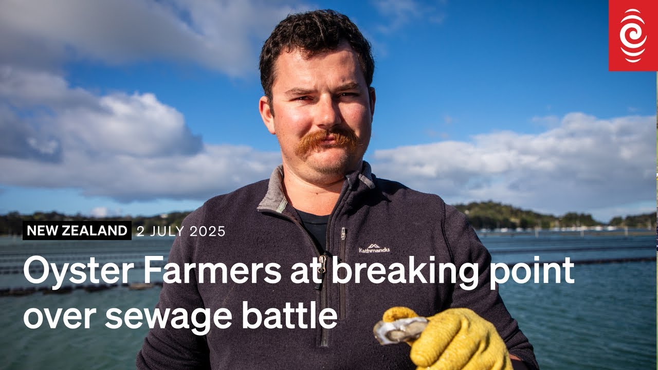 'We're cleaning up their mess': Oyster farmers want Watercare to deal with sewage overflow | RNZ