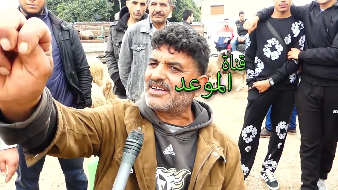 شبعة ضحك مع فلاح يبيع في العلوش في الرحبة، التونسي يصرف زوز ملاين في البحر ويحب يشري علوش ب500 دينار
