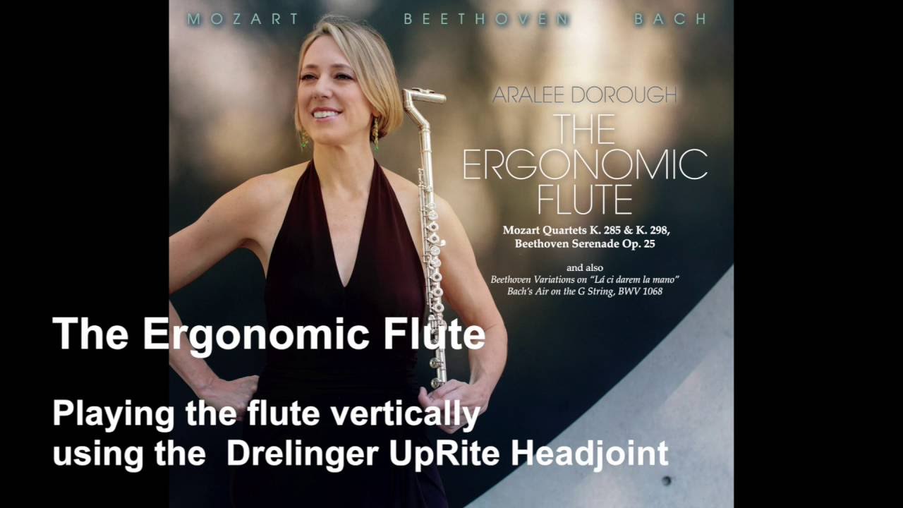 The Ergonomic Flute - About the instrument