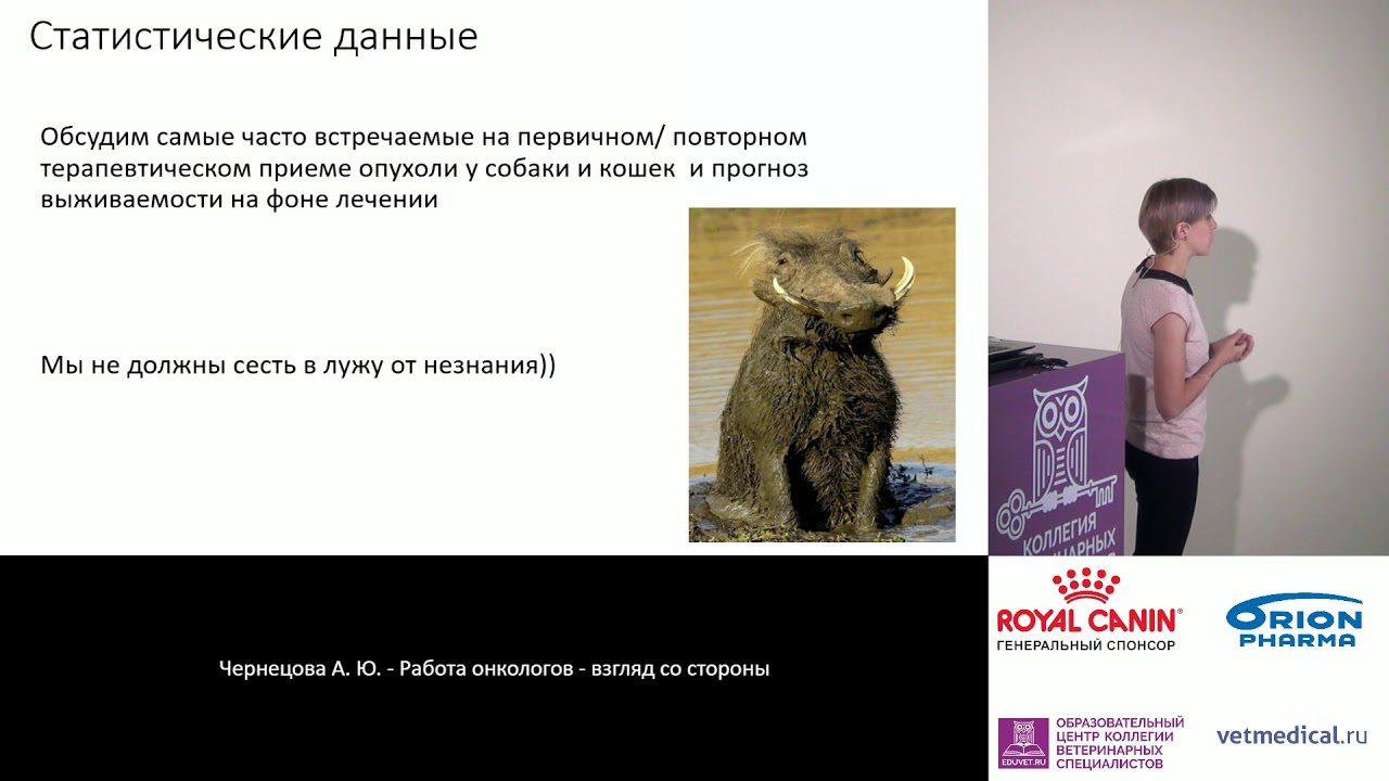 Чернецова А. Ю. - Работа онкологов - взгляд со стороны