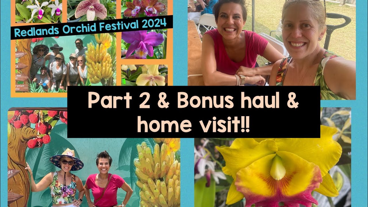 Redlands Orchid Festival Day 2, haul, & bonus home visit to mount!!