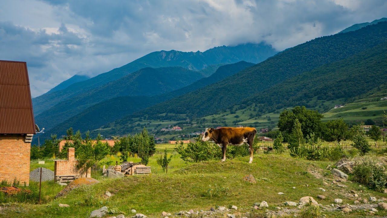 2 серия., часть 2.  Прекрасные виды на горы, спускаемся в отель...⛰️🏔
