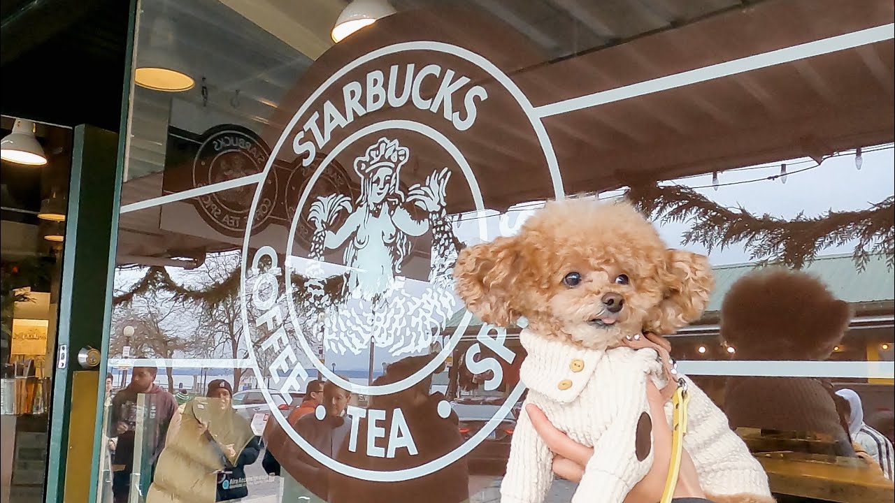 【犬連れで楽しむシアトル】人気観光地パイクプレイスマーケットへ！スタバ1号店も☕️