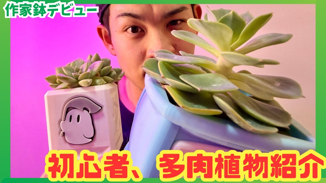 【初心者】多肉植物4種をお迎え｜コロロファクトリーさんの鉢で初挑戦🌵