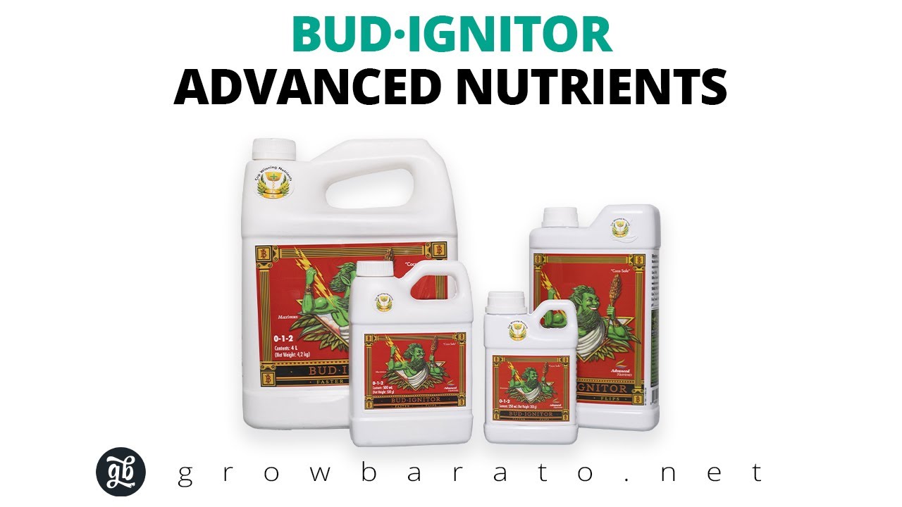 BUD IGNITOR de Advanced Nutrients | Estimulador floral | Growbarato - GB The Green Brand
