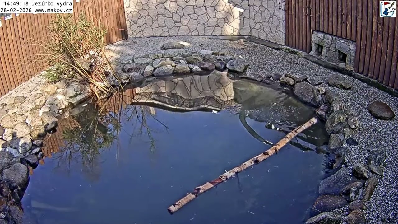 Matýsek loví svačinky a pochutnává si