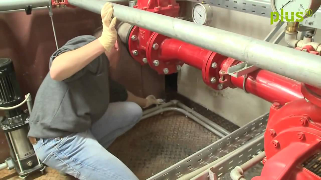 EINSPLUS Mission Mittendrin 48h Kammerjäger