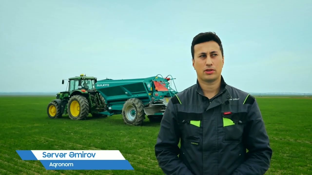 Payızlıq taxıllarda yemləmə gübrəsinin verilməsi