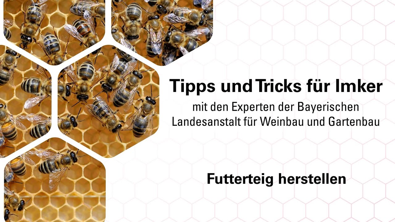 Imkerpraxis: Futterteig herstellen