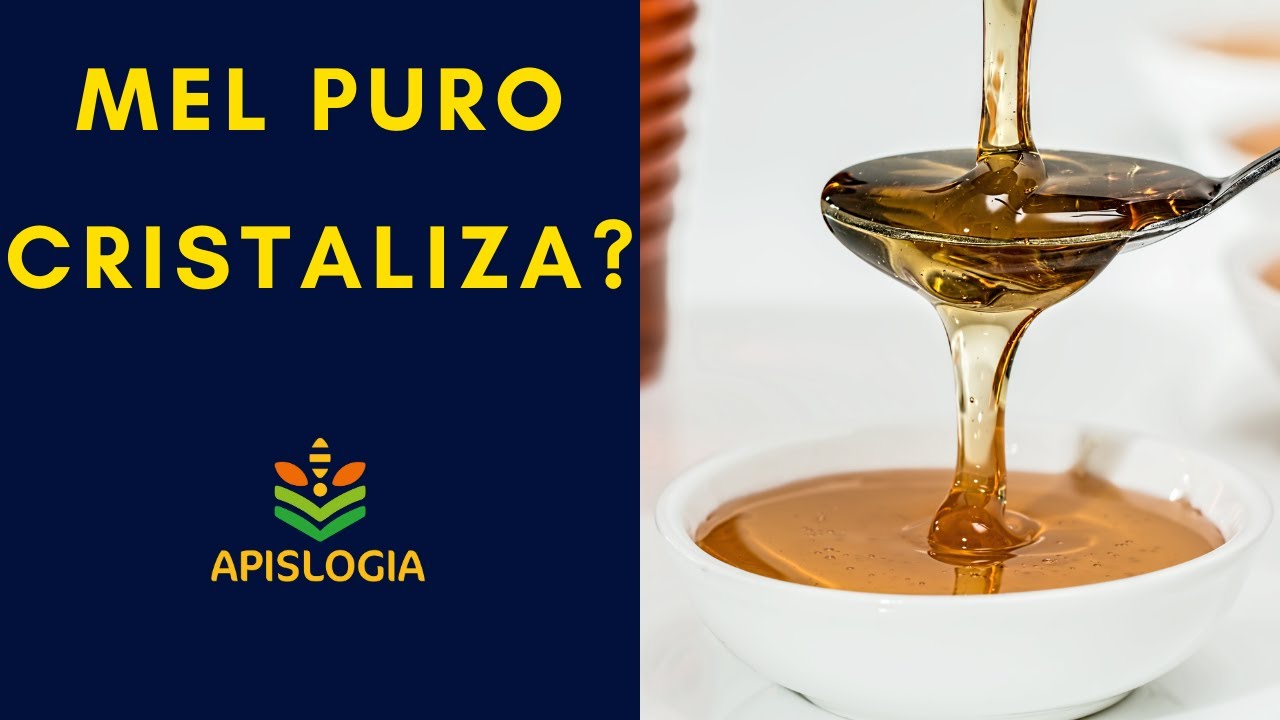 É verdade que MEL PURO cristaliza? Descubra o motivo | Apislogia