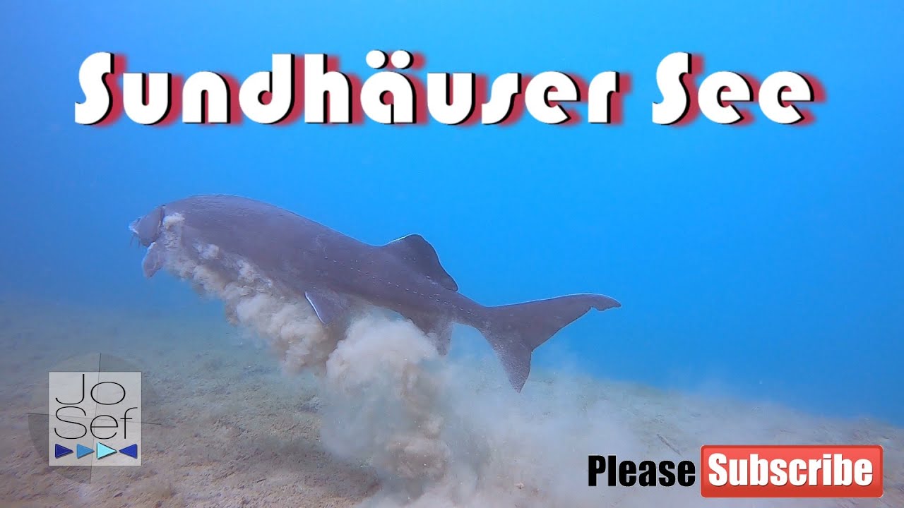 Tauchen Sundhäuser See Nordhausen | Mai 2020