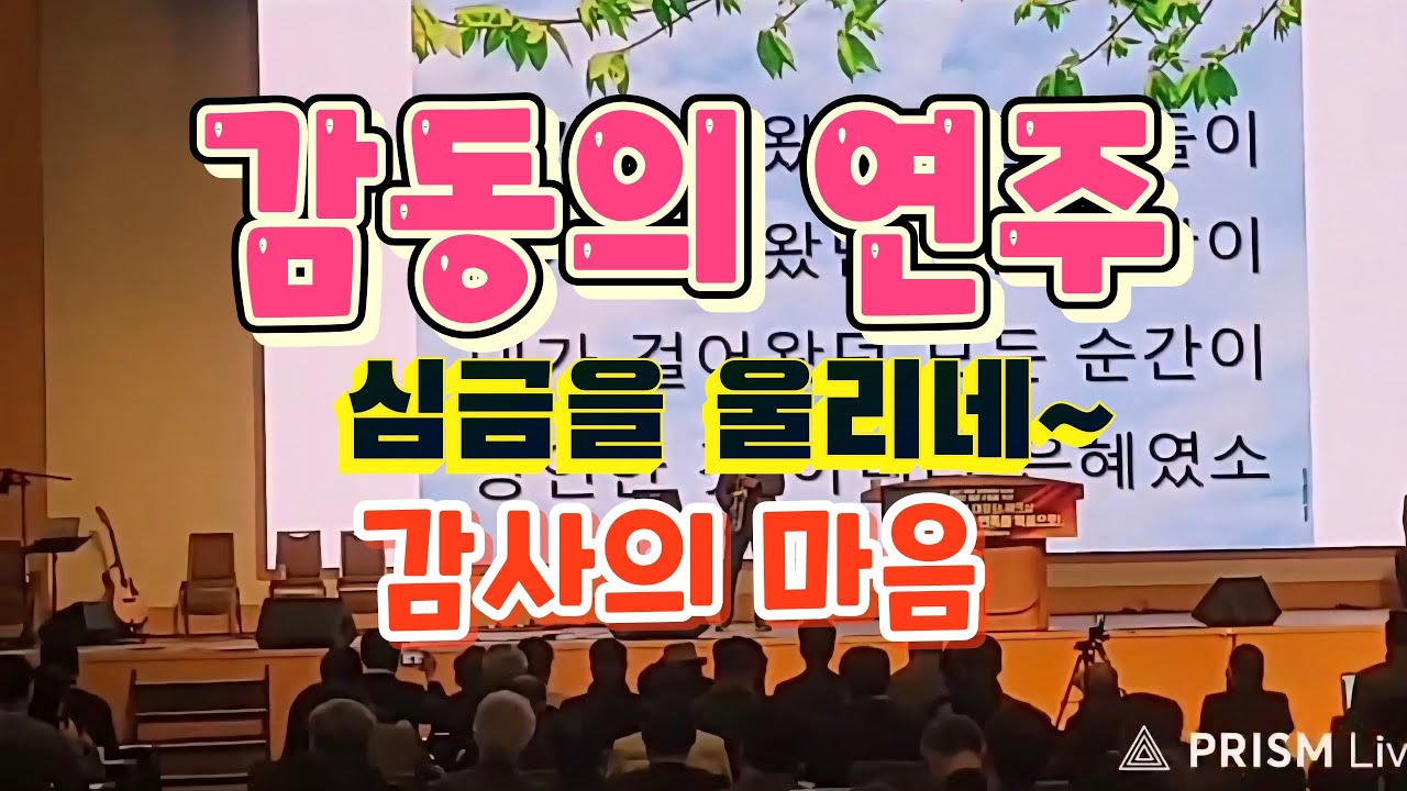 #감동의 연주#은혜로운 찬양#감동의 물결#심금을 울리는 연주~🎶🎵🎶
