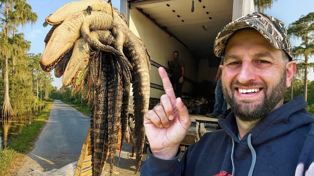 We Have to Hunt 1600 ALLIGATORS This Season!! (CATCH AND COOK)