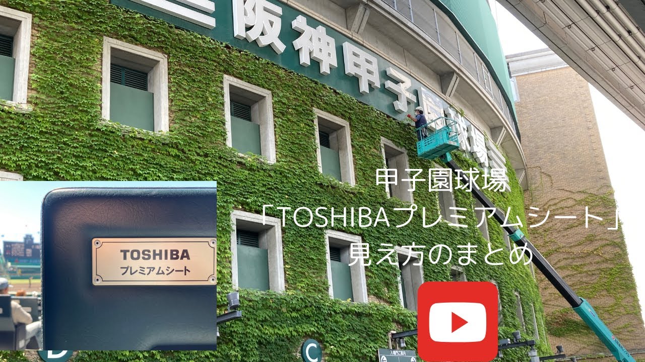 【一撃で分かる！どんな感じに見えるの？】甲子園球場「TOSHIBAシート」の見え方ガイド