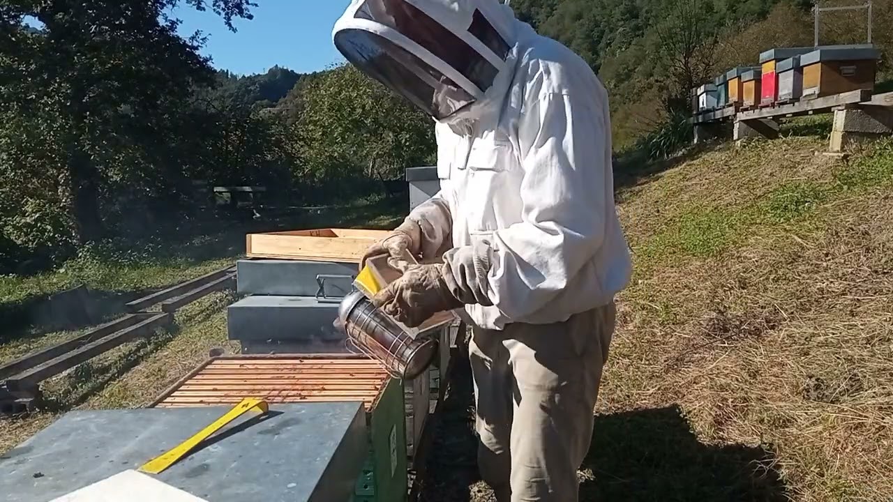 Lavori in apiario mese di ottobre