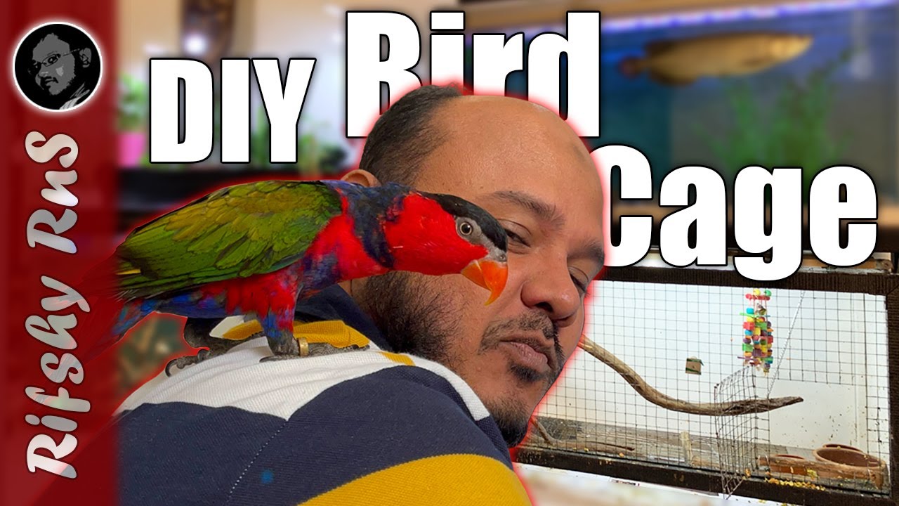 DIY Bird Cage for ‘Perky’ our Black-capped Lory | Bird Cage Ideas | Rifshy RnS