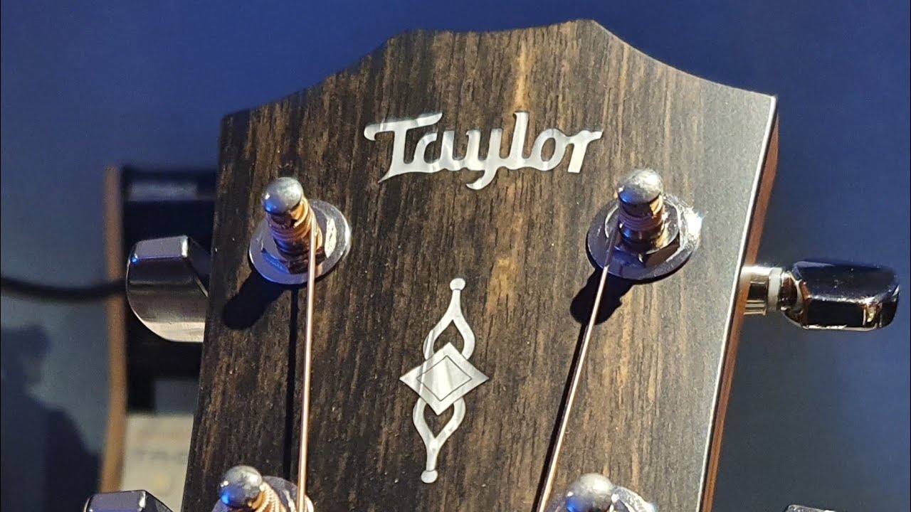 NEW Taylor 317e Grand Pacific V-Class Bracing Saple/Spruce Dreadnought Acoustic Guitar 2021 Model