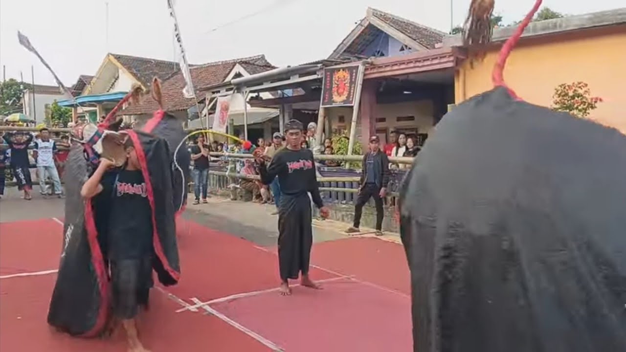 BOCIL NGEYEL KALAP BRINGAS ‼️ MAHESO  JOYO AJI ‼️