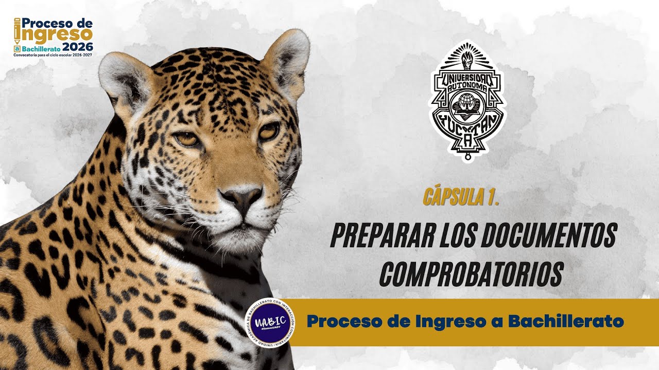 Cápsula 1. Preparar tus Documentos Comprobatorios