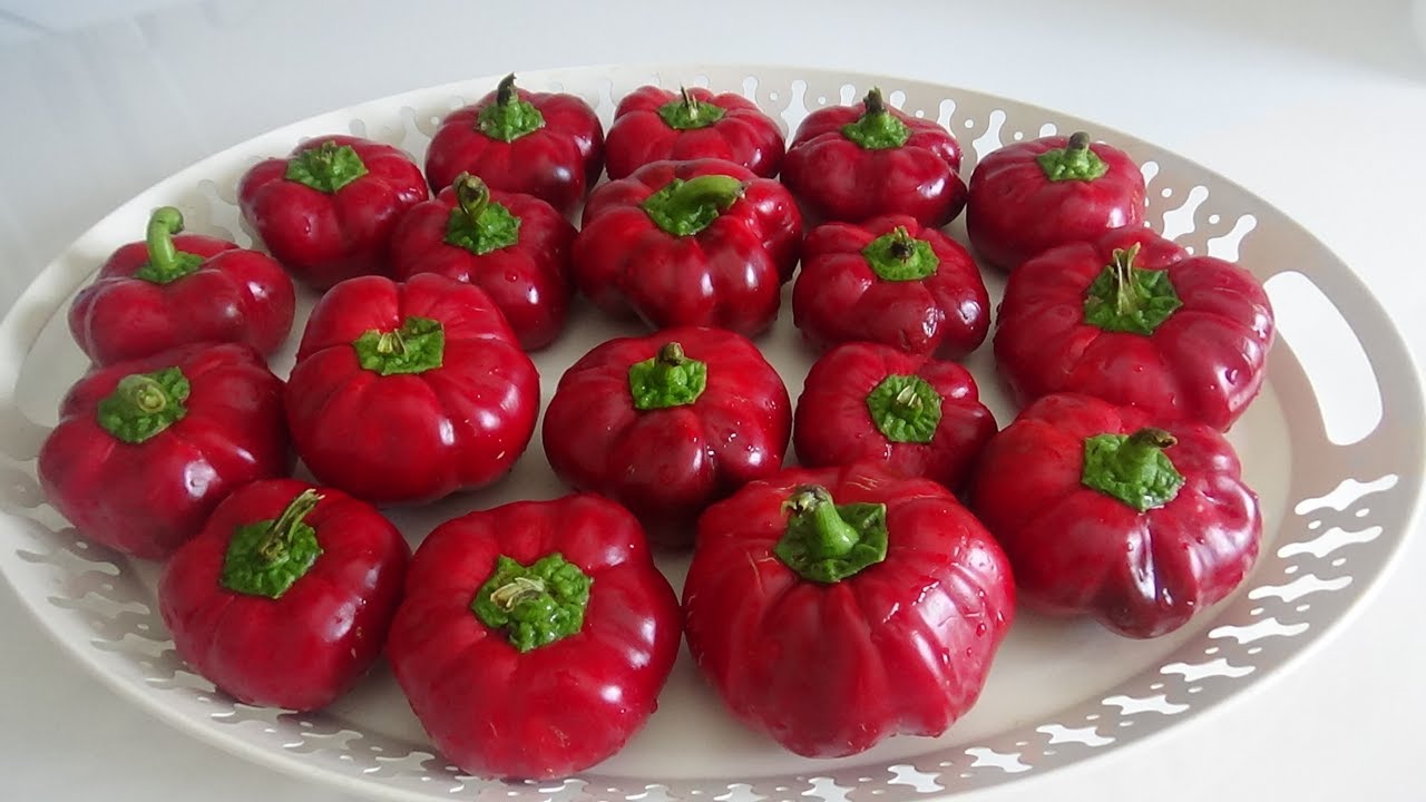 🔴KAÇİRMAYİN🤚BU BİBERİN TURŞUSU EFSANE OLUYOR, FAVORİNİZ OLACAK