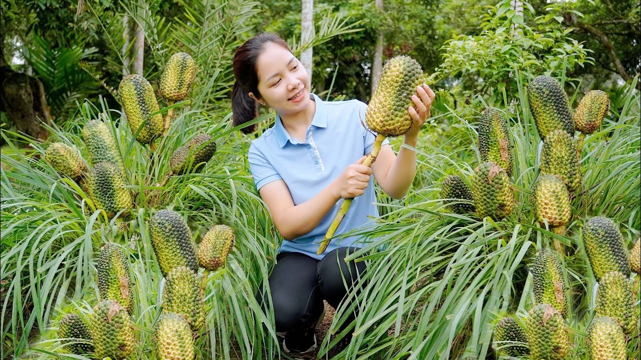 Survival Skills: Finding and Harvesting Wild Pineapples to Sell at the market