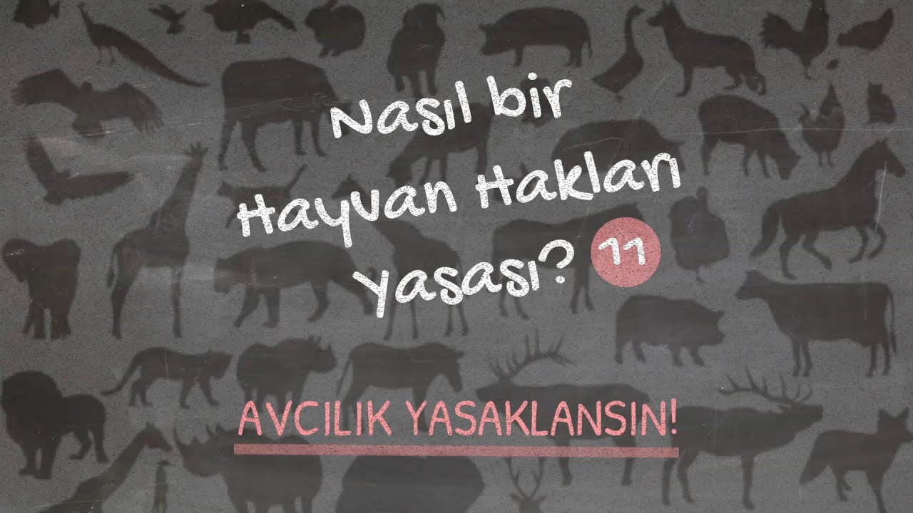 Avcılık ve av turizmi #yaşami&ccedil;inyasa