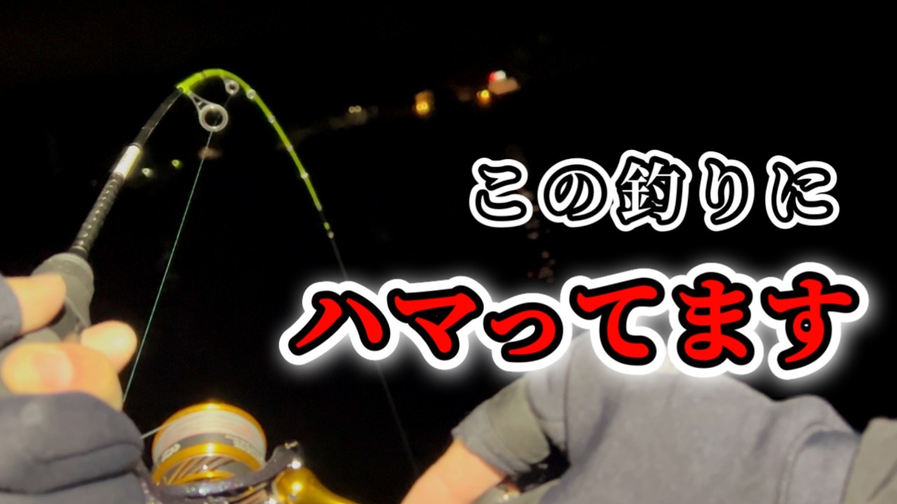 【愛知県釣り】知多半島で釣ってきました！