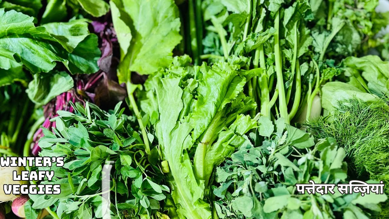 Winter's Leafy Veggies | पत्तेदार सब्ज़ियां | Source of Good Health | Nature's Green Gift |