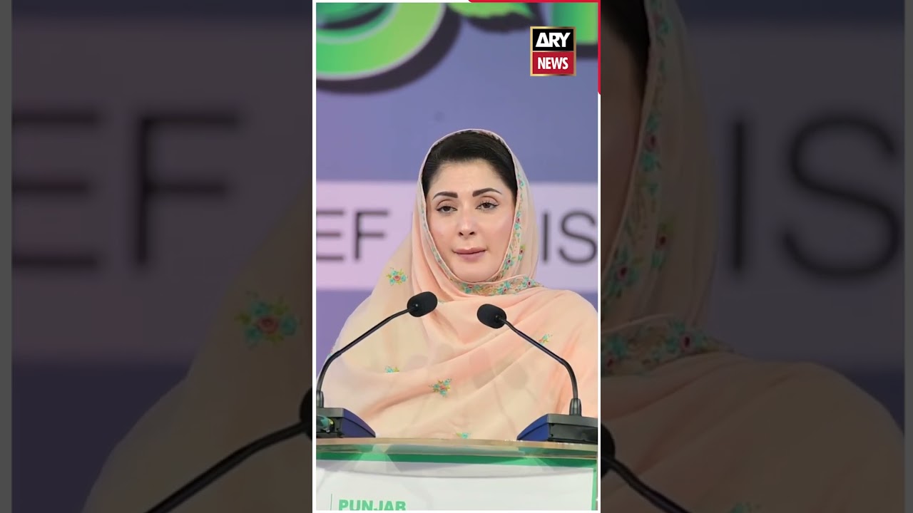 Maryam Nawaz's Statement About PPP #maryamnawaz #ppp #punjab #pmln #breakingnews #arynews