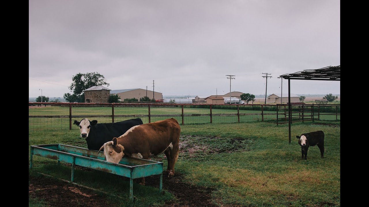 Waggoner Ranch: Iconic Chunk of Texas for Sale at $725 Million