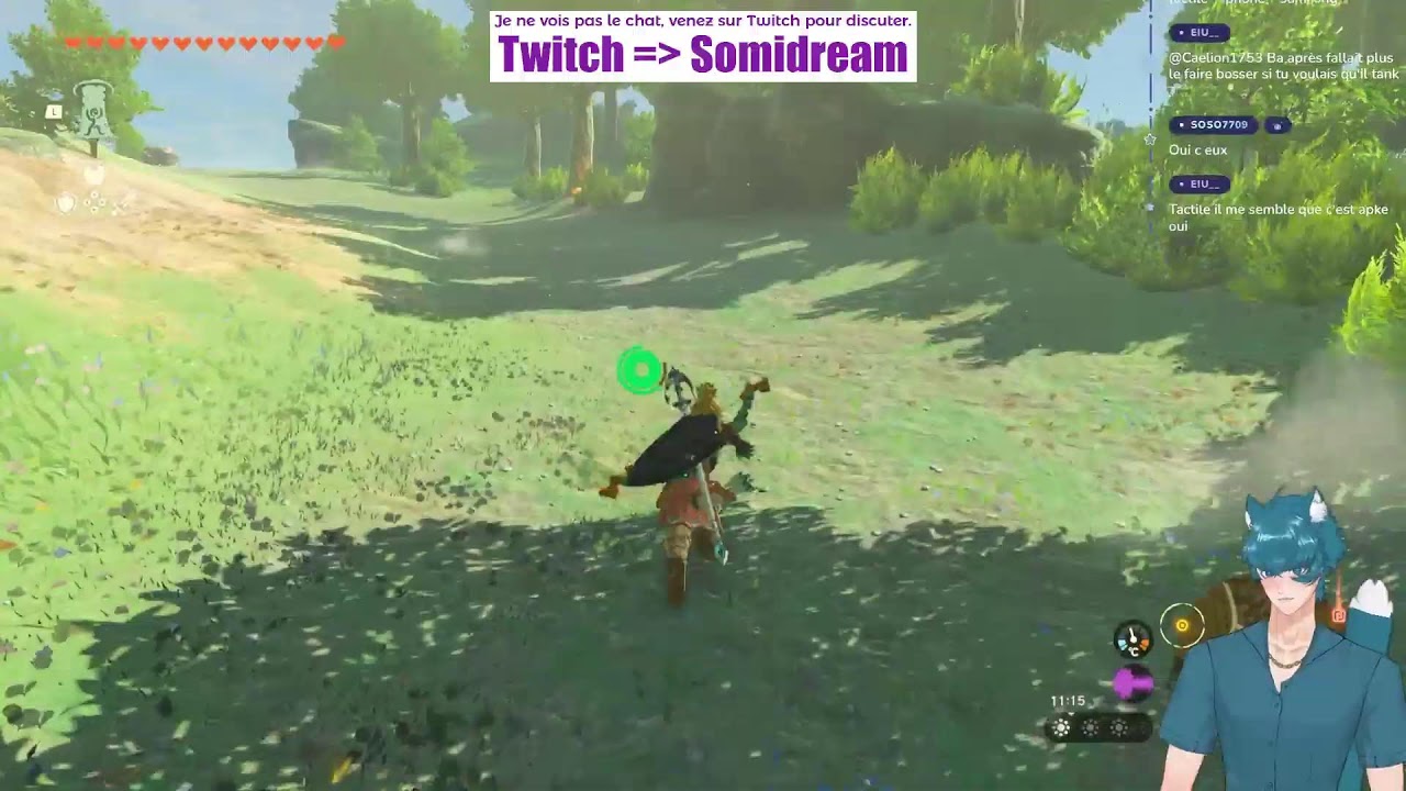 Zelda