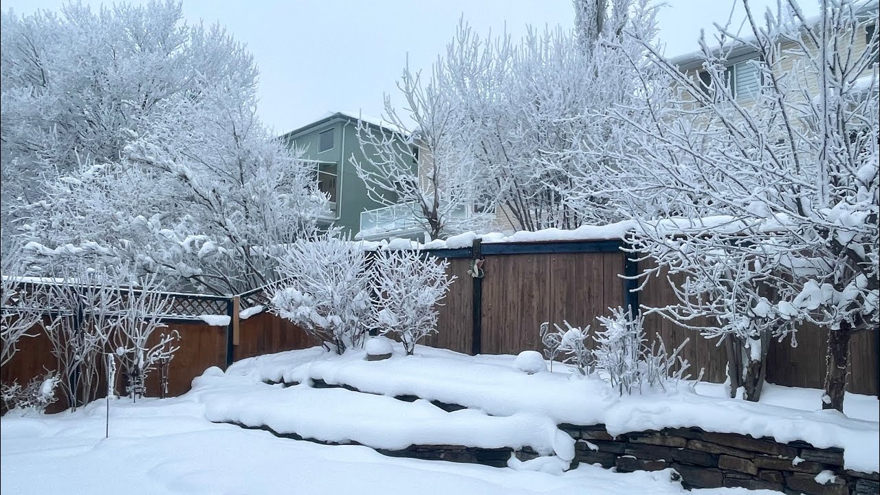 Beautiful Winter White
