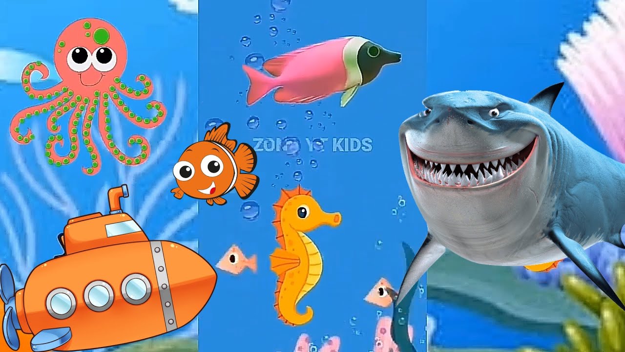 Kids Song Baby Shark song Ocean seaworld | Animals Sea Dolphin show octopus colors fish