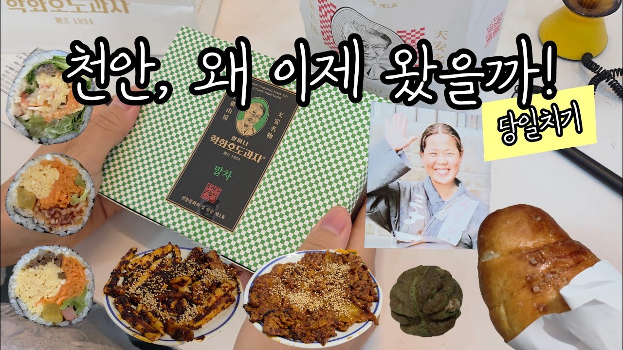 Vlog. 천안 사람들은 좋겠다🤩 말차 호도과자. 소금빵 찐맛집. 🇰🇷역사를 잊지 말자🇰🇷 독립기념관.